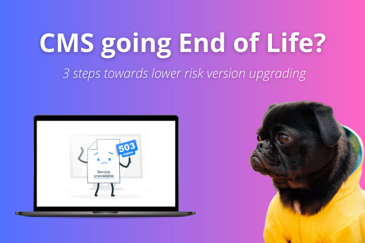 Thumbnail for blog post: CMS going End of Life – 3 steps towards lower risk version upgrading 